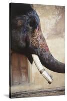 India, Rajasthan, Amber, Amer Fort, Painted Indian Elephant-Dave Bartruff-Stretched Canvas