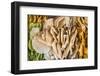 India, Rajasthan, Jaipur. a Roadside Stall with a Display of Thin-Nigel Pavitt-Framed Photographic Print