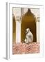 India, Rajasthan, Jaipur, Amber Fort. Monkey in the Courtyard-Emily Wilson-Framed Photographic Print