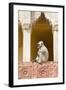 India, Rajasthan, Jaipur, Amber Fort. Monkey in the Courtyard-Emily Wilson-Framed Photographic Print
