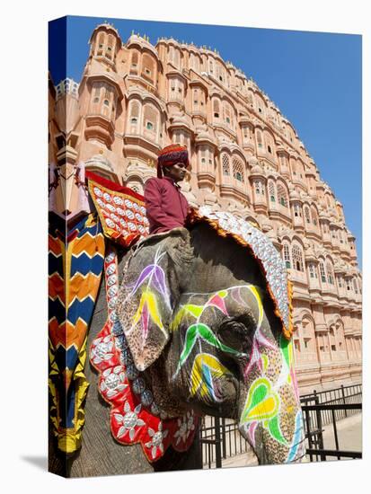 India, Rajasthan, Jaipur, Ceremonial Decorated Elephant Outside the Hawa Mahal, Palace of the Winds-Gavin Hellier-Stretched Canvas