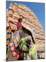 India, Rajasthan, Jaipur, Ceremonial Decorated Elephant Outside the Hawa Mahal, Palace of the Winds-Gavin Hellier-Mounted Photographic Print