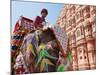India, Rajasthan, Jaipur, Ceremonial Decorated Elephant Outside the Hawa Mahal, Palace of the Winds-Gavin Hellier-Mounted Photographic Print