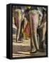 India, Rajasthan, Jaipur-Nigel Pavitt-Framed Stretched Canvas