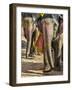 India, Rajasthan, Jaipur-Nigel Pavitt-Framed Photographic Print