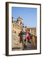 India, Rajasthan, Jaipur-Nigel Pavitt-Framed Photographic Print