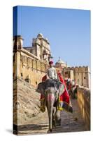 India, Rajasthan, Jaipur-Nigel Pavitt-Stretched Canvas