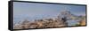 India, Rajasthan, Jodhpur, Jaswant Thada Temple and Mehrangarh Fort-Michele Falzone-Framed Stretched Canvas
