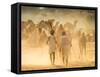 India, Rajasthan, Pushkar, Camel Herders Arriving at Pushkar Camel Fair-Jane Sweeney-Framed Stretched Canvas