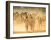 India, Rajasthan, Pushkar, Camel Herders Arriving at Pushkar Camel Fair-Jane Sweeney-Framed Photographic Print