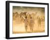 India, Rajasthan, Pushkar, Camel Herders Arriving at Pushkar Camel Fair-Jane Sweeney-Framed Photographic Print