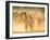 India, Rajasthan, Pushkar, Camel Herders Arriving at Pushkar Camel Fair-Jane Sweeney-Framed Photographic Print