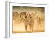 India, Rajasthan, Pushkar, Camel Herders Arriving at Pushkar Camel Fair-Jane Sweeney-Framed Photographic Print