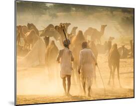 India, Rajasthan, Pushkar, Camel Herders Arriving at Pushkar Camel Fair-Jane Sweeney-Mounted Photographic Print
