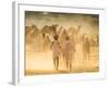 India, Rajasthan, Pushkar, Camel Herders Arriving at Pushkar Camel Fair-Jane Sweeney-Framed Photographic Print