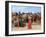 India, Rajasthan, Pushkar, Pushkar Camel Fair, Woman Collecting Camel Dung at Dawn-Jane Sweeney-Framed Photographic Print