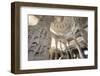 India, Rajasthan, Ranakpur Jain Temple-Michele Falzone-Framed Photographic Print