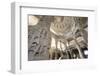 India, Rajasthan, Ranakpur Jain Temple-Michele Falzone-Framed Photographic Print