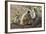 India, Rajasthan, Ranthambhore. a Family of Gray Langurs.-Nigel Pavitt-Framed Photographic Print