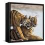 India, Rajasthan, Ranthambhore. a Female Bengal Tiger Is Greeted by One of Her One-Year-Old Cubs.-Nigel Pavitt-Framed Stretched Canvas