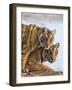 India Rajasthan, Ranthambhore. a Female Bengal Tiger with One of Her One-Year-Old Cubs.-Nigel Pavitt-Framed Photographic Print