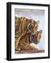 India Rajasthan, Ranthambhore. a Female Bengal Tiger with One of Her One-Year-Old Cubs.-Nigel Pavitt-Framed Photographic Print