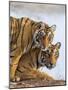 India Rajasthan, Ranthambhore. a Female Bengal Tiger with One of Her One-Year-Old Cubs.-Nigel Pavitt-Mounted Photographic Print