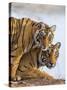 India Rajasthan, Ranthambhore. a Female Bengal Tiger with One of Her One-Year-Old Cubs.-Nigel Pavitt-Stretched Canvas