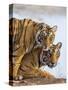 India Rajasthan, Ranthambhore. a Female Bengal Tiger with One of Her One-Year-Old Cubs.-Nigel Pavitt-Stretched Canvas