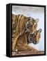India Rajasthan, Ranthambhore. a Female Bengal Tiger with One of Her One-Year-Old Cubs.-Nigel Pavitt-Framed Stretched Canvas