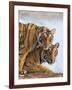 India Rajasthan, Ranthambhore. a Female Bengal Tiger with One of Her One-Year-Old Cubs.-Nigel Pavitt-Framed Photographic Print