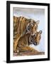 India Rajasthan, Ranthambhore. a Female Bengal Tiger with One of Her One-Year-Old Cubs.-Nigel Pavitt-Framed Photographic Print