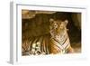 India, Rajasthan, Ranthambore. Royal Bengal Tiger known as Ustad (T24) Resting in a Cool Cave.-Katie Garrod-Framed Photographic Print
