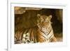 India, Rajasthan, Ranthambore. Royal Bengal Tiger known as Ustad (T24) Resting in a Cool Cave.-Katie Garrod-Framed Photographic Print