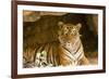 India, Rajasthan, Ranthambore. Royal Bengal Tiger known as Ustad (T24) Resting in a Cool Cave.-Katie Garrod-Framed Photographic Print