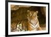 India, Rajasthan, Ranthambore. Royal Bengal Tiger known as Ustad (T24) Resting in a Cool Cave.-Katie Garrod-Framed Photographic Print