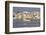 India, Rajasthan, Udaipur. Lake Pichola-Emily Wilson-Framed Photographic Print