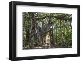 India, Rajasthan-Nigel Pavitt-Framed Photographic Print