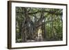 India, Rajasthan-Nigel Pavitt-Framed Photographic Print