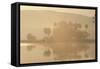 India Rajbagh, Main Lake In-null-Framed Stretched Canvas