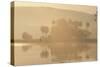 India Rajbagh, Main Lake In-null-Stretched Canvas