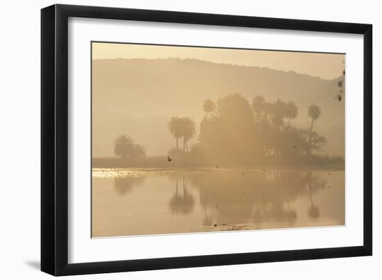 India Rajbagh, Main Lake In-null-Framed Photographic Print