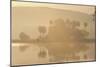 India Rajbagh, Main Lake In-null-Mounted Photographic Print