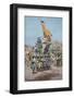 India. Royal Cortege on Great Sowari of Badora, 1850.-Tarker-Framed Photographic Print