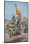 India. Royal Cortege on Great Sowari of Badora, 1850.-Tarker-Mounted Photographic Print