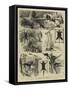 India, Shooting Excursion in Malabar, Madras Presidency-Alfred W. Cooper-Framed Stretched Canvas
