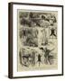 India, Shooting Excursion in Malabar, Madras Presidency-Alfred W. Cooper-Framed Giclee Print