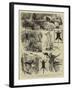 India, Shooting Excursion in Malabar, Madras Presidency-Alfred W. Cooper-Framed Giclee Print