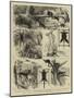 India, Shooting Excursion in Malabar, Madras Presidency-Alfred W. Cooper-Mounted Giclee Print