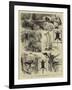 India, Shooting Excursion in Malabar, Madras Presidency-Alfred W. Cooper-Framed Giclee Print